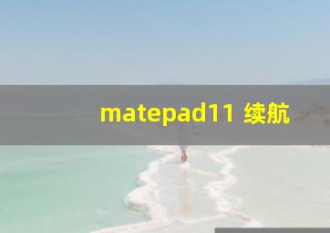 matepad11 续航